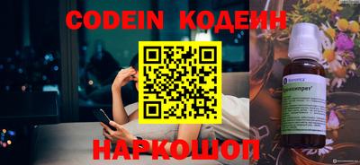 хмурый Кингисепп