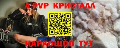 хмурый Кингисепп
