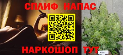 хмурый Кингисепп