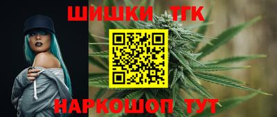 хмурый Кингисепп