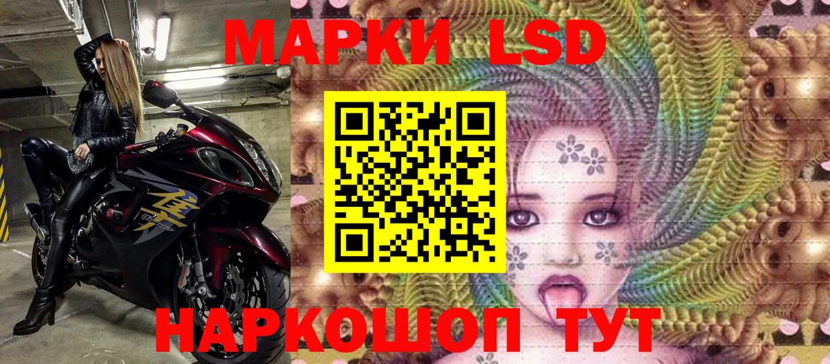 где можно купить наркотик  Вход с VPN  Губкин  Марки N-bome 1,8мг 