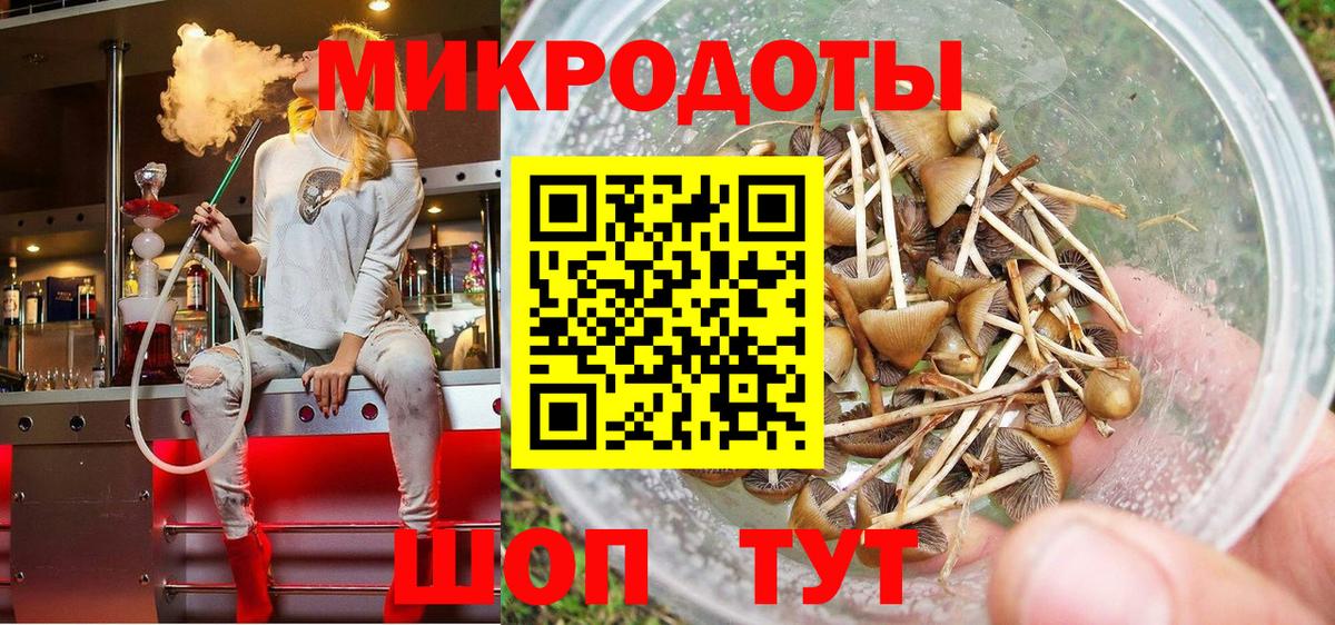 Псилоцибиновые грибы Psilocybe Губкин