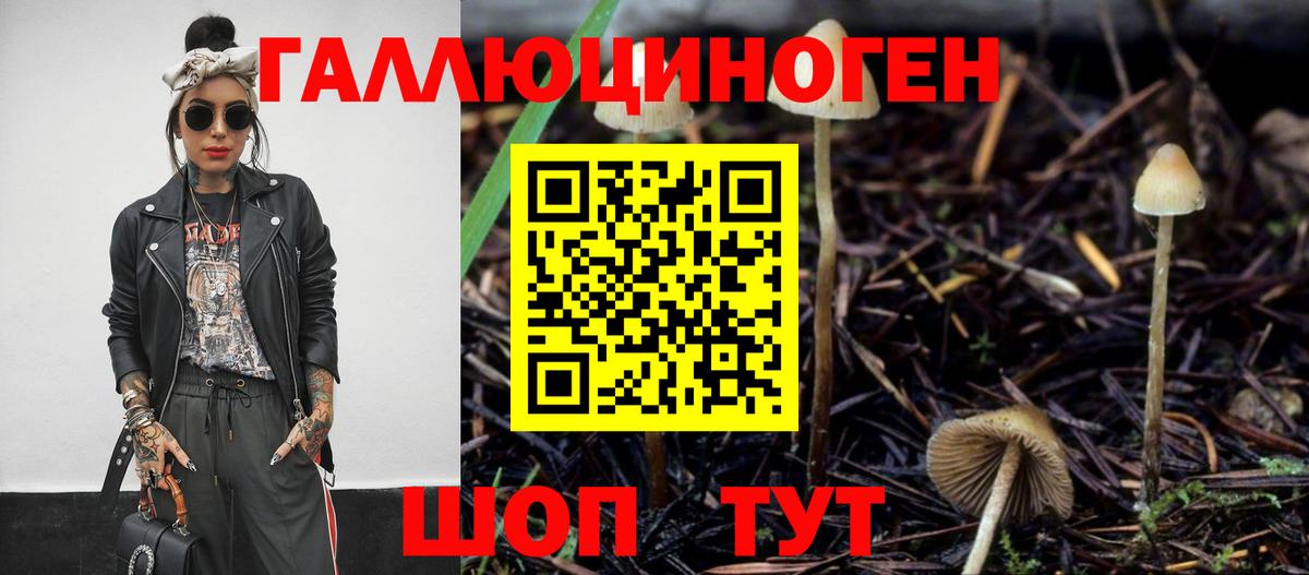 Галлюциногенные грибы мухоморы  Вход с VPN  Галлюциногенные грибы GOLDEN TEACHER  как найти закладки  Губкин 